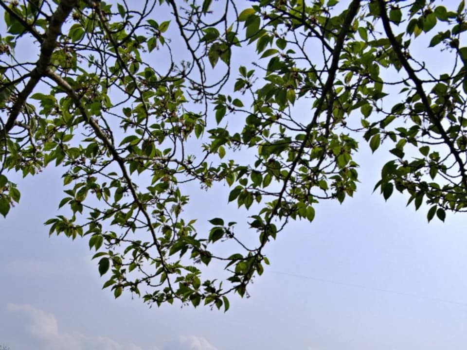 경주 첨성대 · 한국관광공사 공식 사진