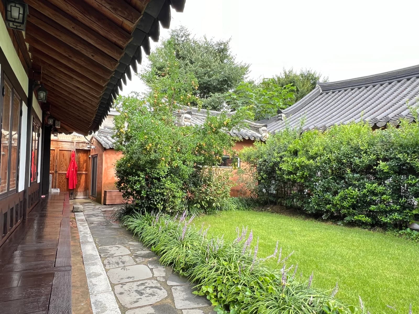 전주 한옥마을의 기와지붕과 목조 건물에 둘러싸인 녹색 안뜰
