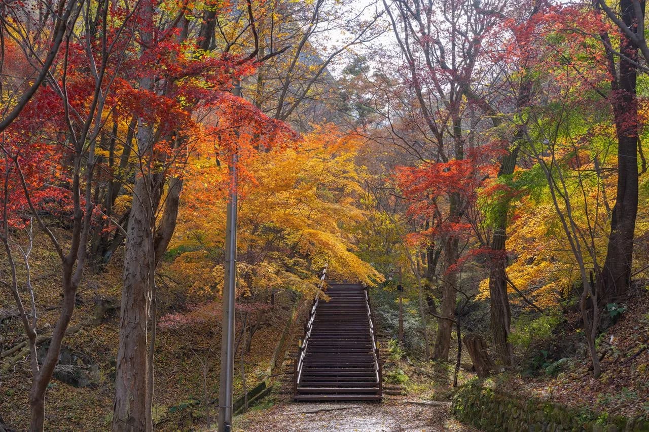 馬耳山の秋景色 (2025-11)