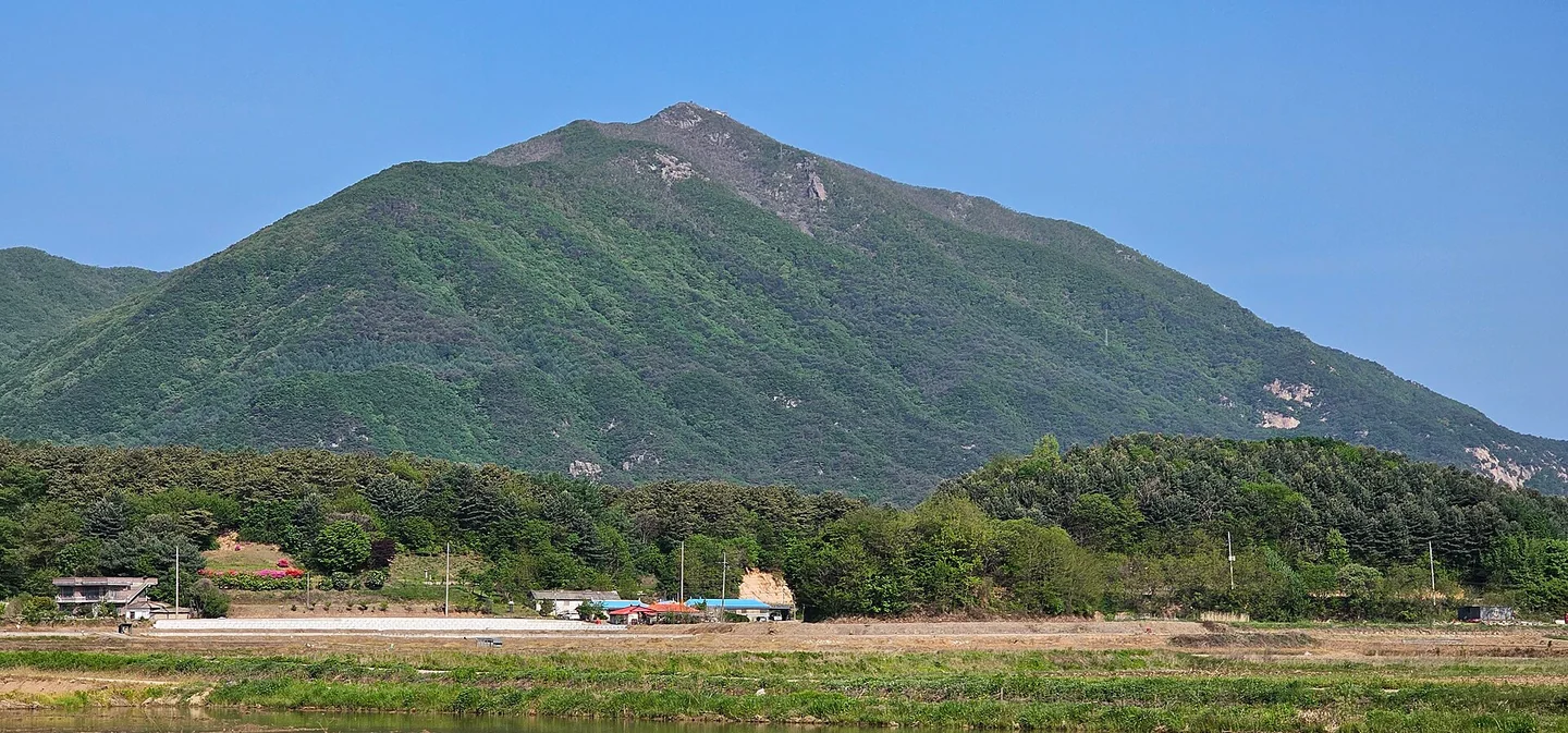 철원 상노리의 숲이 우거진 산 풍경
