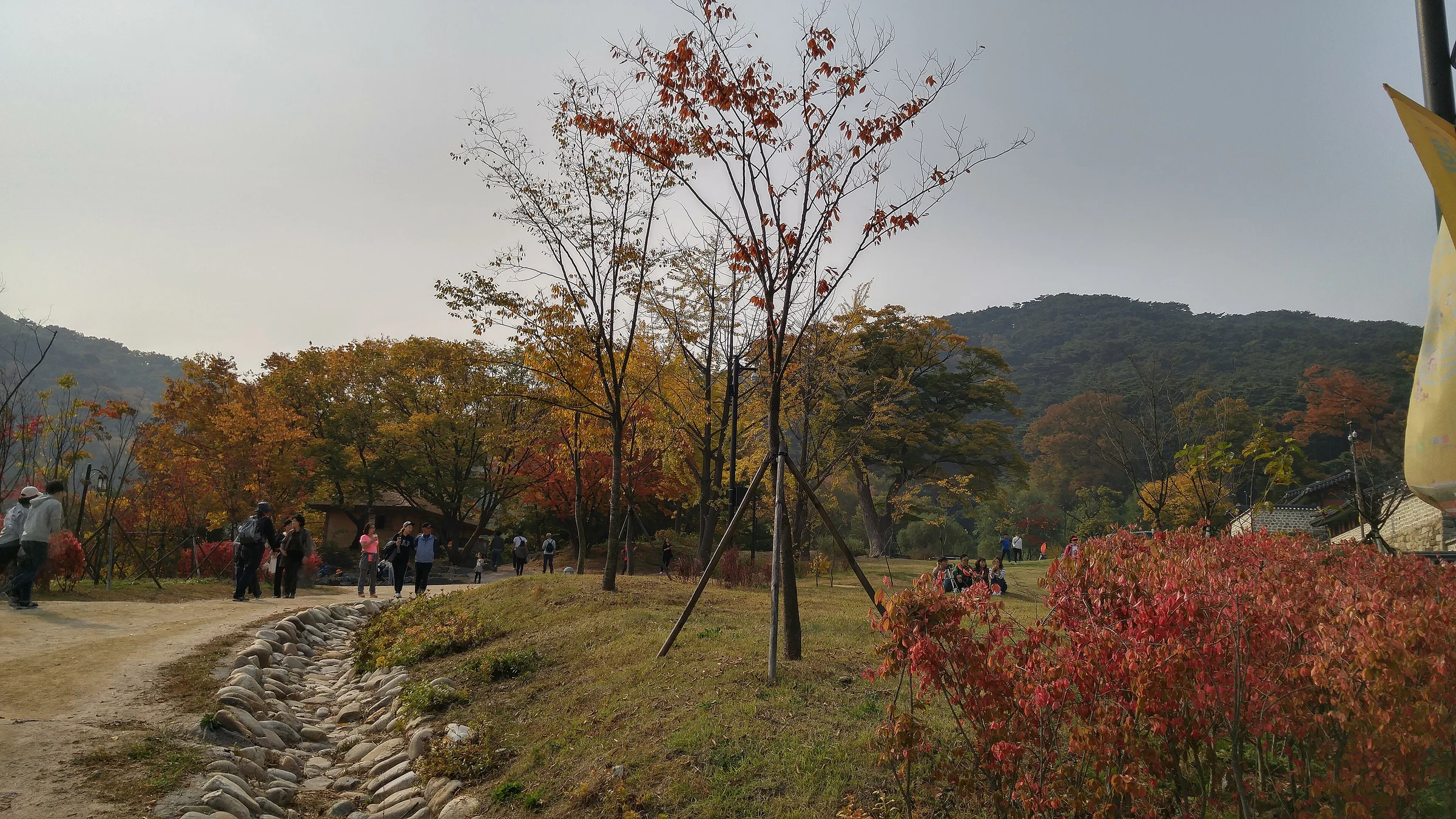 경기 광주 남한산성의 가을 산책로와 단풍이 든 숲